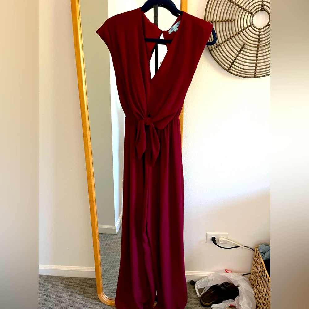 Francesca’s Jumpsuit